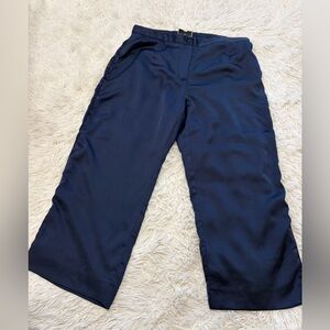 Tuckernuck Pants - Size XL - navy